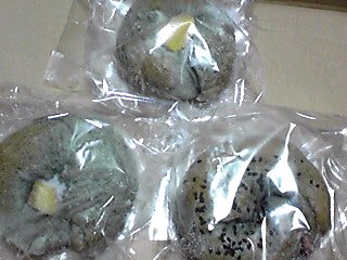 a0067806_4302997.jpg