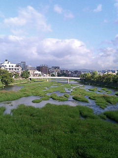 e0101411_21514988.jpg