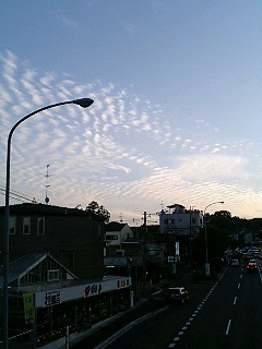 e0101411_2157521.jpg