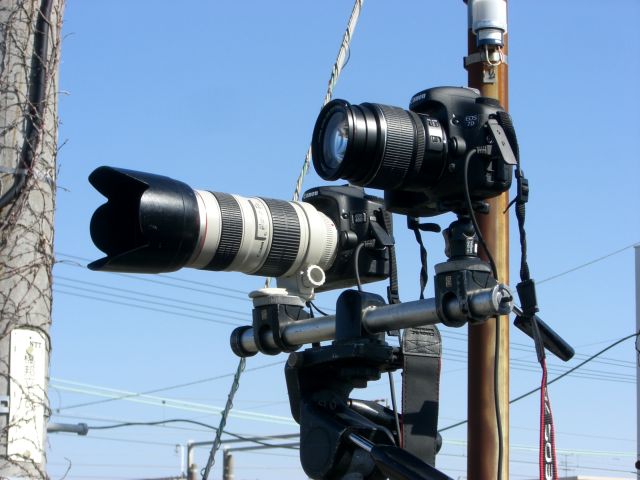 f0169012_534367.jpg