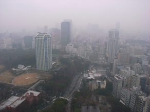 d0106518_5572876.jpg