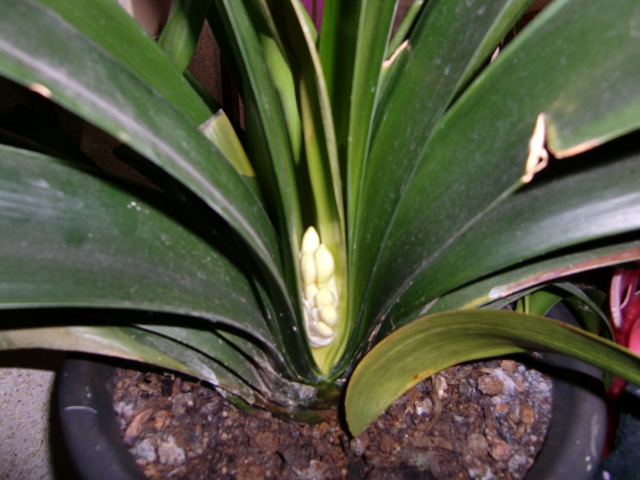 f0076727_8104249.jpg