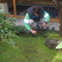 d0033734_11554633.jpg