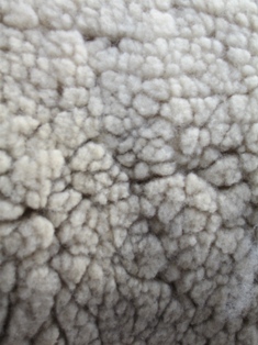 d0097534_2004736.jpg
