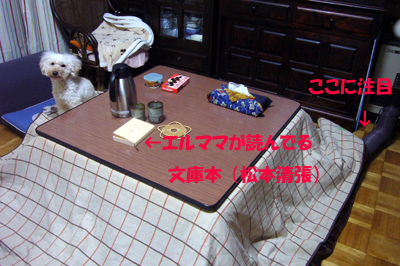 d0070047_2291875.jpg