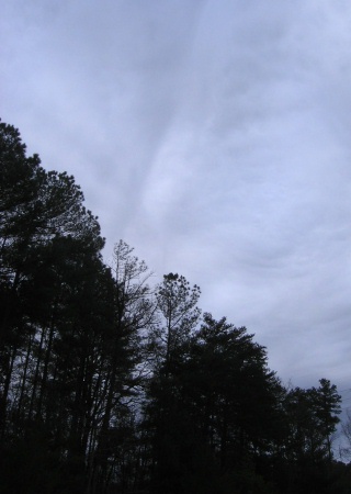 b0178155_3345298.jpg