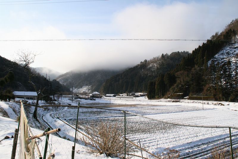 a0111756_16481845.jpg