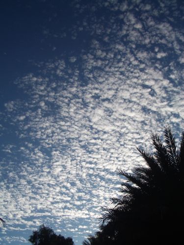 d0005157_14443578.jpg