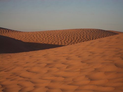 d0005157_1593093.jpg