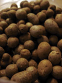 d0029958_2022886.jpg