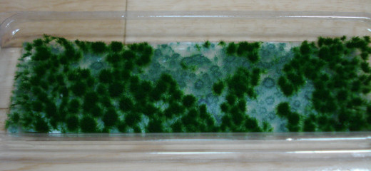 c0222964_258559.jpg