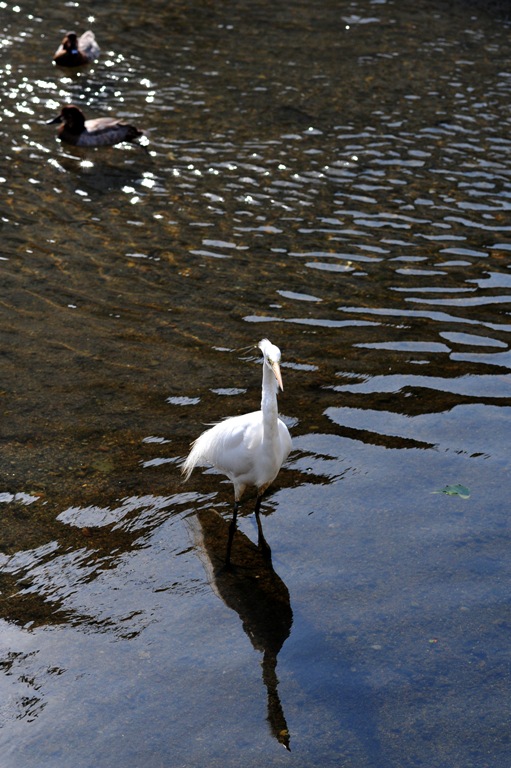 b0131167_124939.jpg