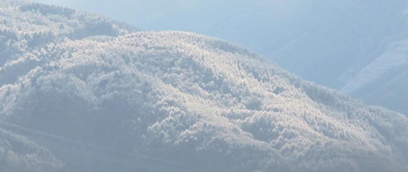 a0091680_1201212.jpg