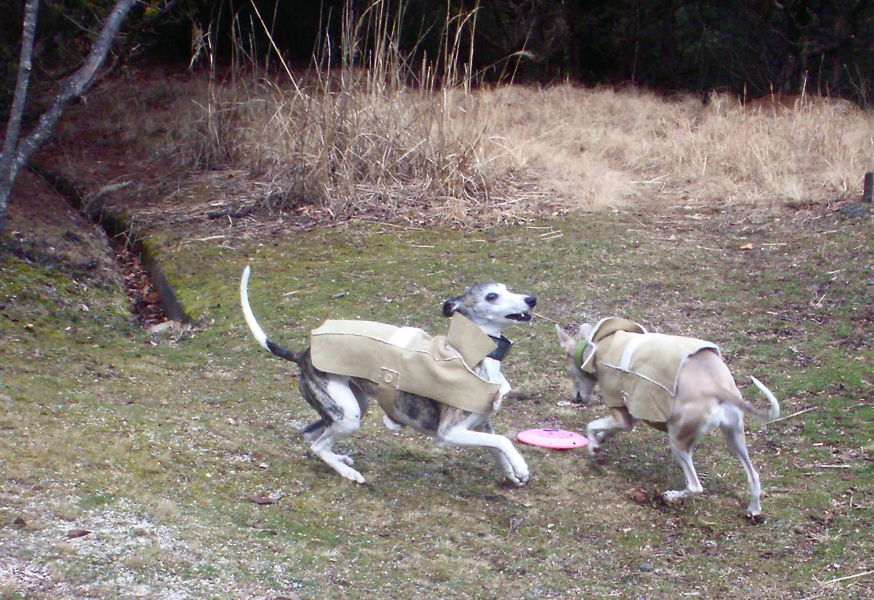 f0177788_0312289.jpg