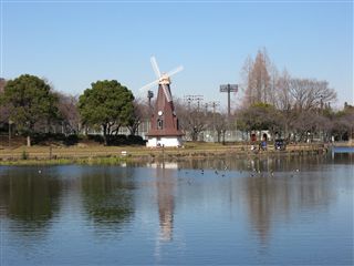 e0121589_1122419.jpg