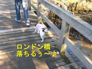 e0121589_1203924.jpg