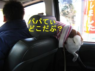e0121589_173972.jpg