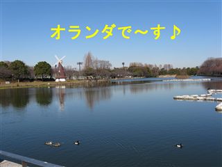 e0121589_185067.jpg
