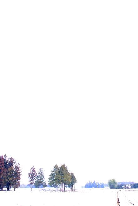 b0164292_20114231.jpg
