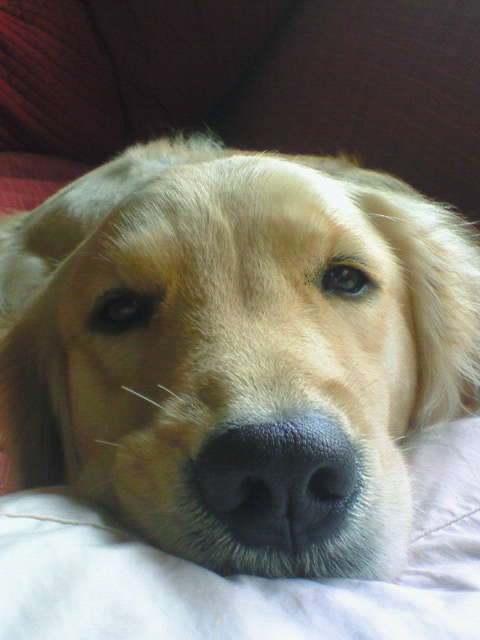 c0193396_12523930.jpg
