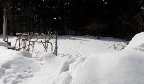 a0138198_15202336.jpg