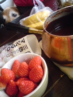 b0085408_2082682.jpg