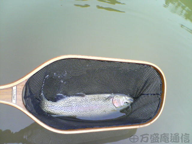 b0172209_9133366.jpg
