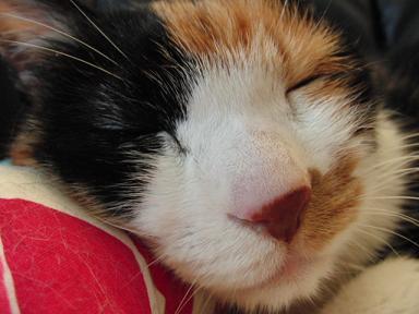 c0201113_17202213.jpg