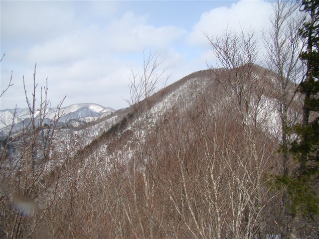 a0127015_21501378.jpg