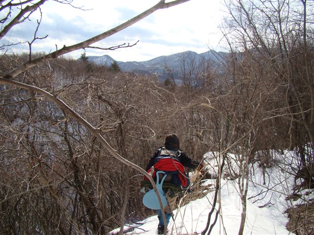a0127015_2154596.jpg