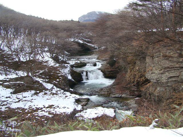 a0127015_2255757.jpg
