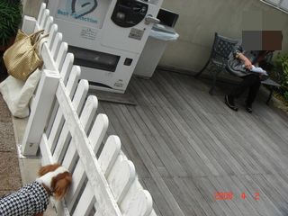 f0214121_1165194.jpg