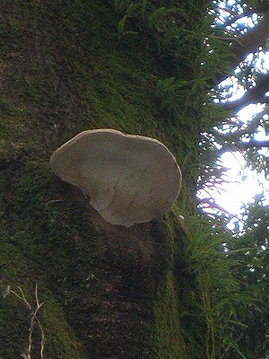 b0138522_2334959.jpg