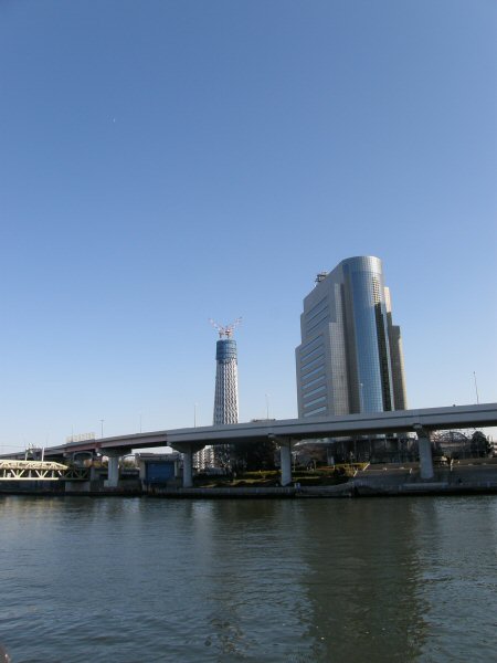 a0027125_9593674.jpg
