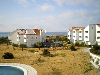 d0054930_2026424.jpg