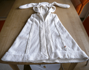 c0080038_16155833.gif