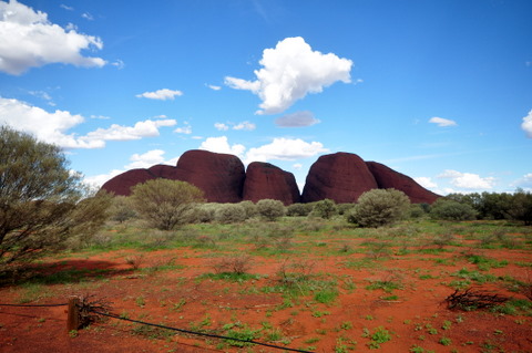 c0156438_20103315.jpg