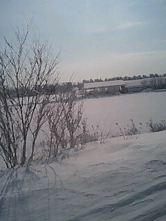 c0117239_2135351.jpg