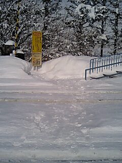 c0117239_21481598.jpg