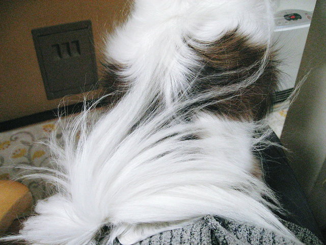 a0149240_15134080.jpg