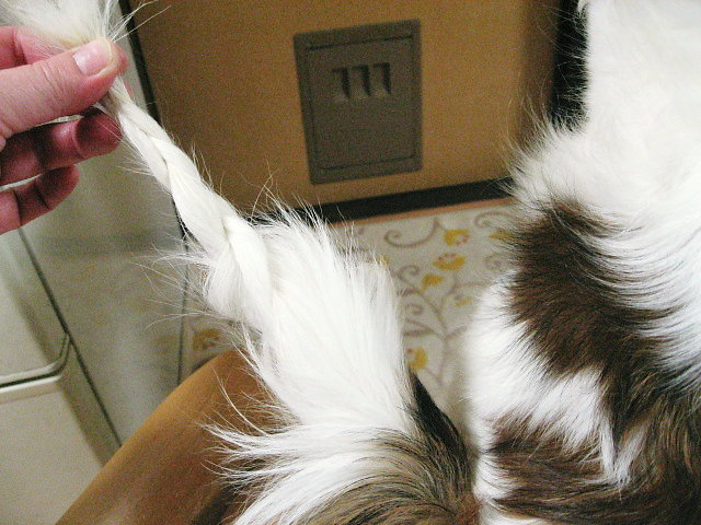 a0149240_151737100.jpg