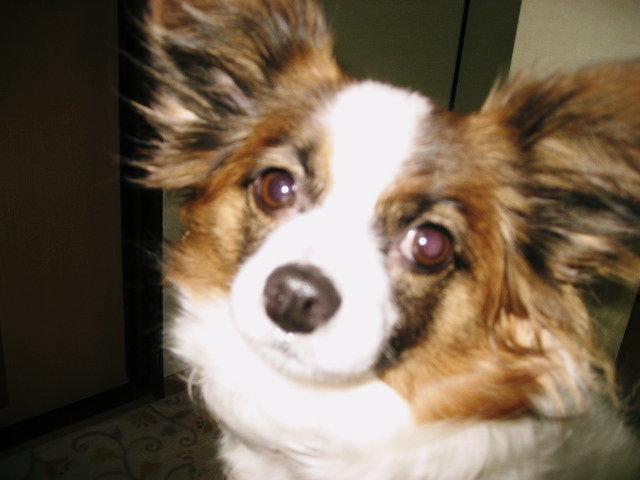 a0149240_15302628.jpg