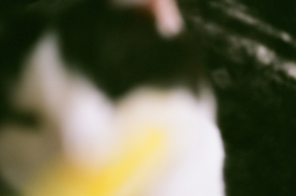 e0137244_19212737.jpg