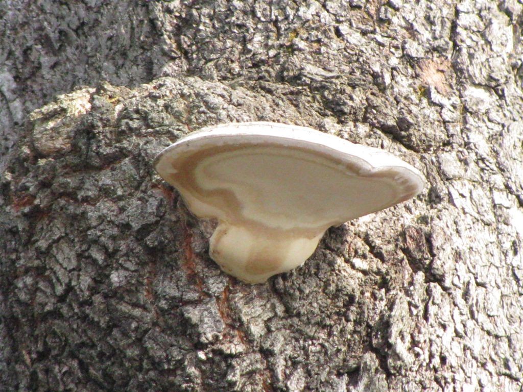 f0151044_7351061.jpg