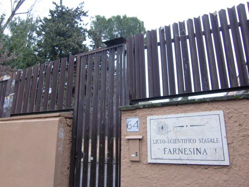 c0206352_852695.jpg