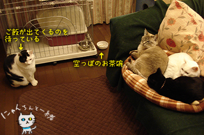 e0031853_1337267.jpg