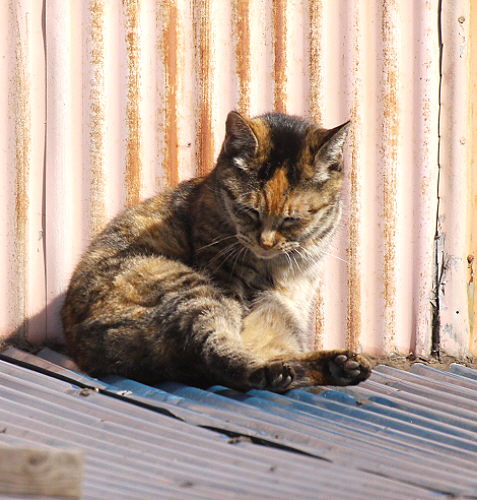 d0091754_2202125.jpg