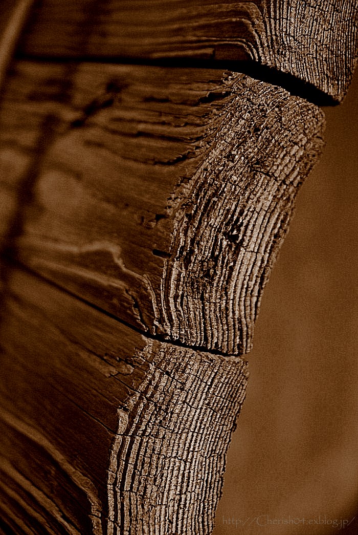 f0207754_1312971.jpg