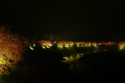a0117858_1151289.jpg