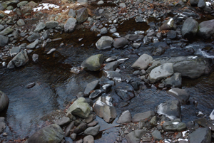 c0103558_1047527.jpg